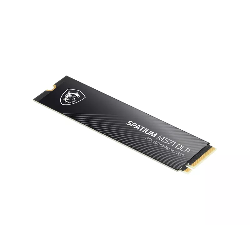MSI SPATIUM M571 DLP PCIe 5.0 NVMe M.2 4T interný solid-state disk 4 TB PCI Express 5.0 3D NAND