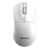 Sandberg bezdrôtová myš Saver biela, pre obe ruky, RF Wireless, 1600 DPI, biela