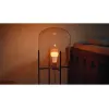 Philips Hue White and colour ambience A60 – E27 smart žiarovka – 810