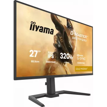 Herný monitor IIYAMA GB2791QSU-B1 68,6 cm (27