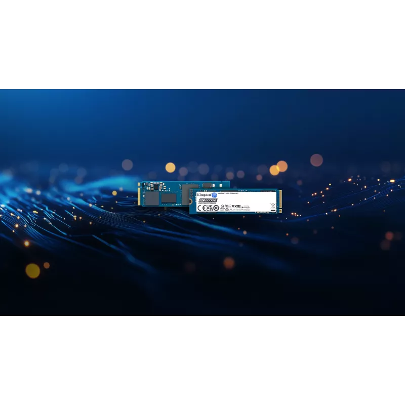 Kingston Technology 240G DC2000B PCIe 4.0 M.2 2280 Enterprise SSD (bez chladiča)