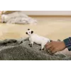 Schleich Galloway krava 13960 čierno-biela Odporúčaný vek 3+