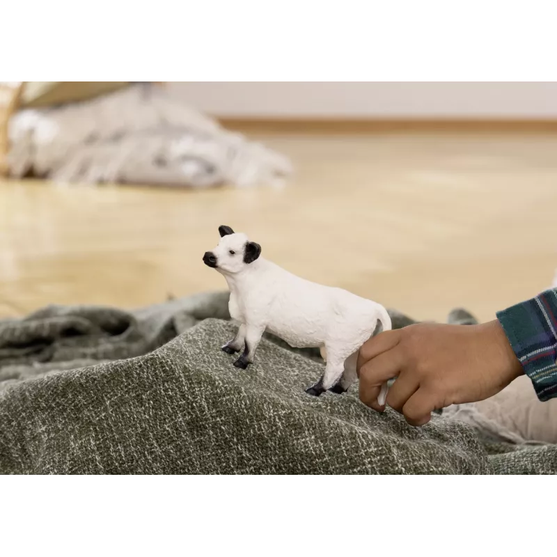 Schleich Galloway krava 13960 čierno-biela Odporúčaný vek 3+