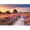 Puzzle Ravensburger Pink Pathway Holandsko, 1000 dielikov, 700×? mm, 2 mm hrúbka
