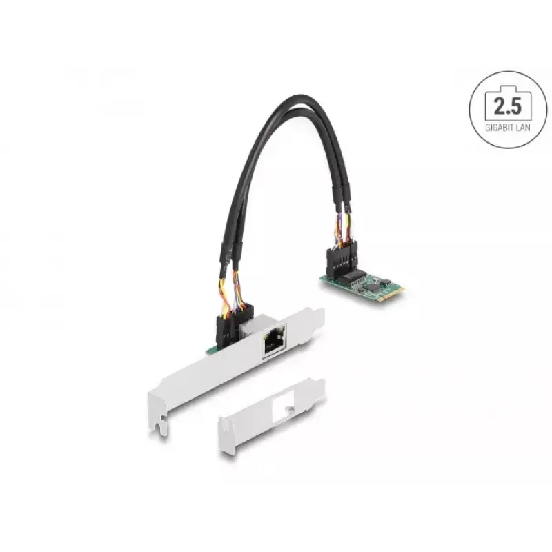 DeLOCK 95272 interná sieťová karta 2500 Mbit/s káblová M.2 Ethernet