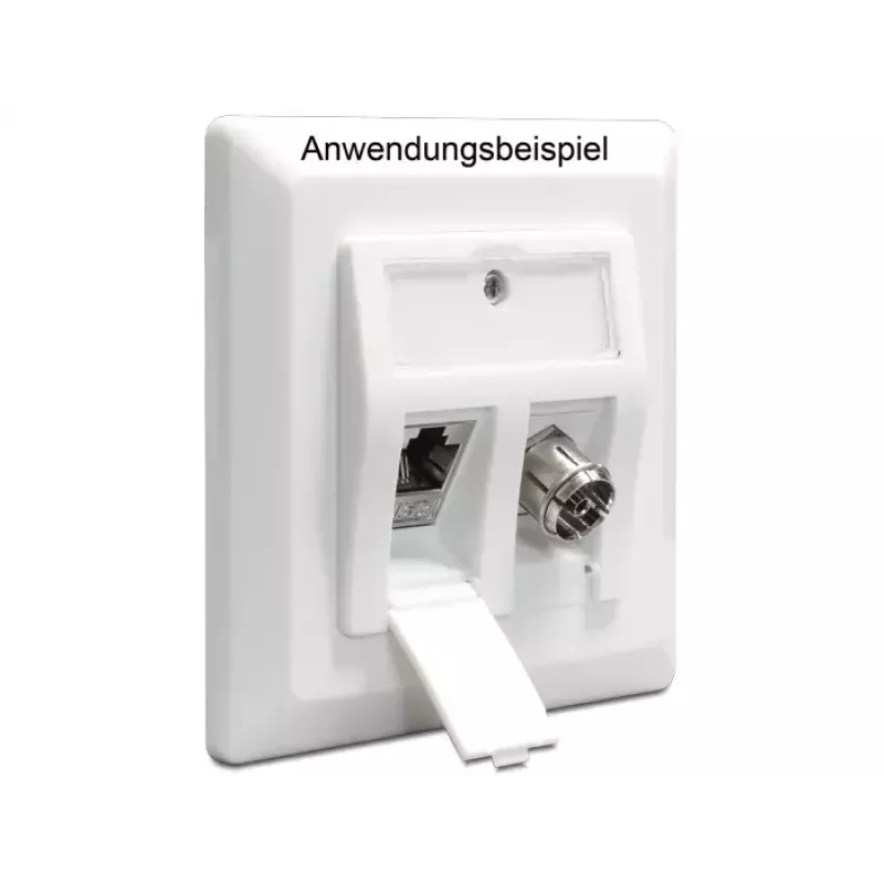 Zápustná krabica DeLOCK 86202