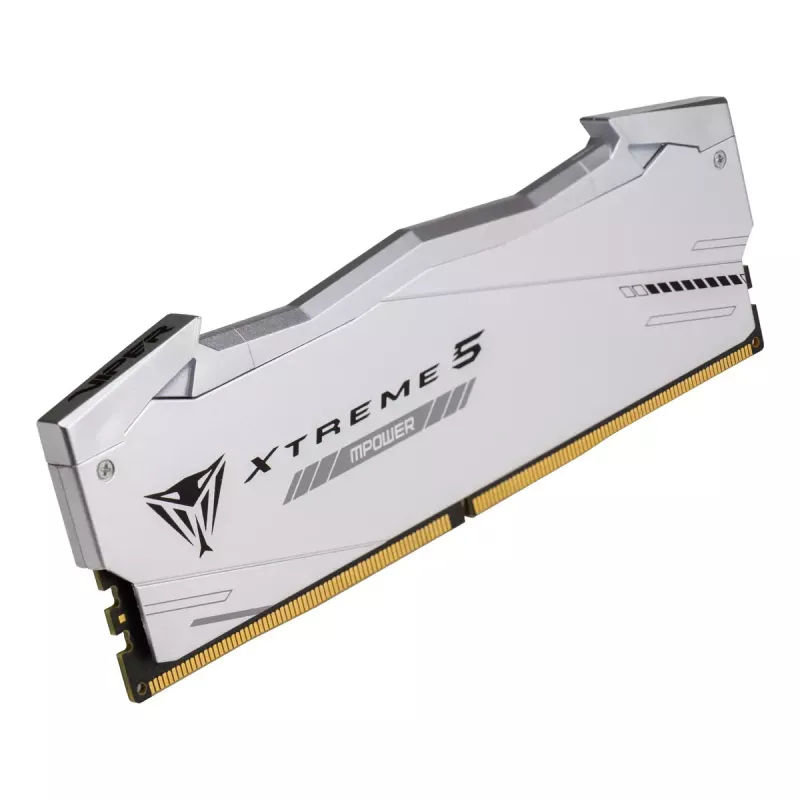 Patriot Viper Gaming RGB XTREME 5 DDR5-6000 RAM, CL 30, Intel XMP 3.0 - 48GB Dual-Kit, strieborná