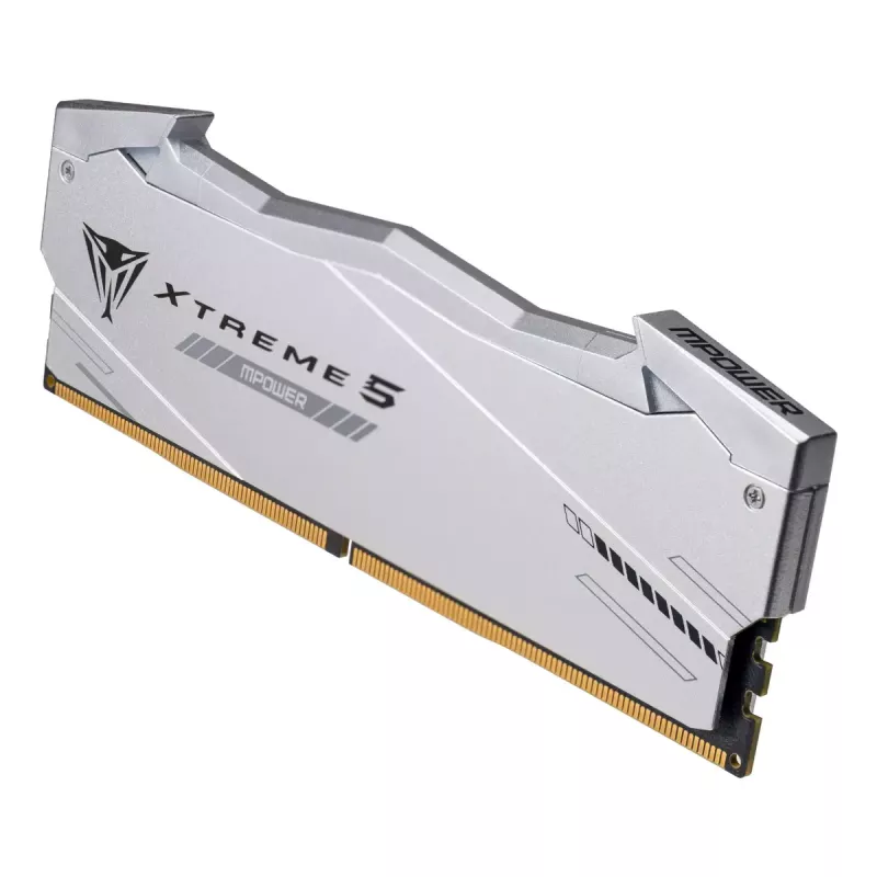 Patriot Viper Gaming RGB XTREME 5 DDR5-6000 RAM, CL 30, Intel XMP 3.0 - 48GB Dual-Kit, strieborná