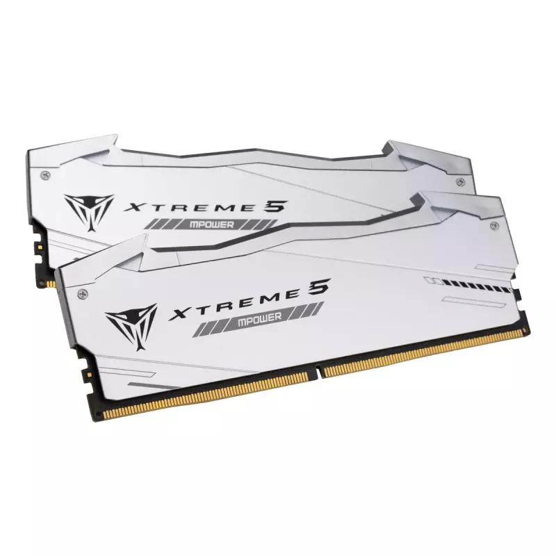 Patriot Viper Gaming RGB XTREME 5 DDR5-6000 RAM, CL 30, Intel XMP 3.0 - 48GB Dual-Kit, strieborná