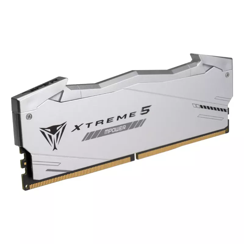 Patriot Viper Gaming RGB XTREME 5 DDR5-6000 RAM, CL 30, Intel XMP 3.0 - 48GB Dual-Kit, strieborná