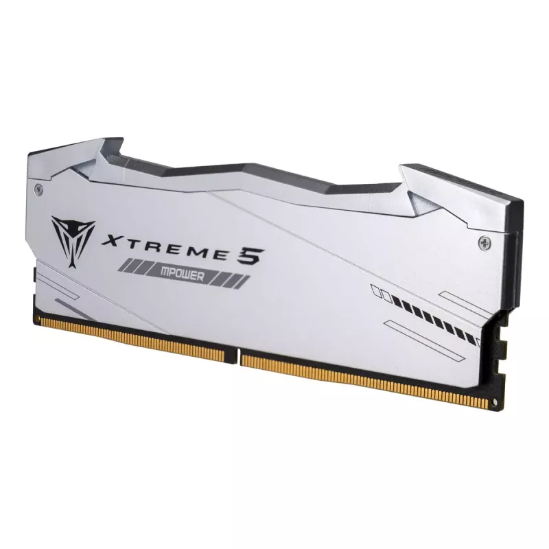 Patriot Viper Gaming RGB XTREME 5 DDR5-6000 RAM, CL 30, Intel XMP 3.0 - 48GB Dual-Kit, strieborná