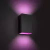 Vonkajšie nástenné svietidlo Philips Hue White and Colour Ambience Resonate LED čierna
