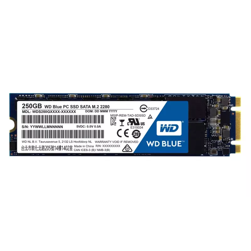 WD Blue SSD 250 GB SATA III M.2 2280, WDS250G1B0B