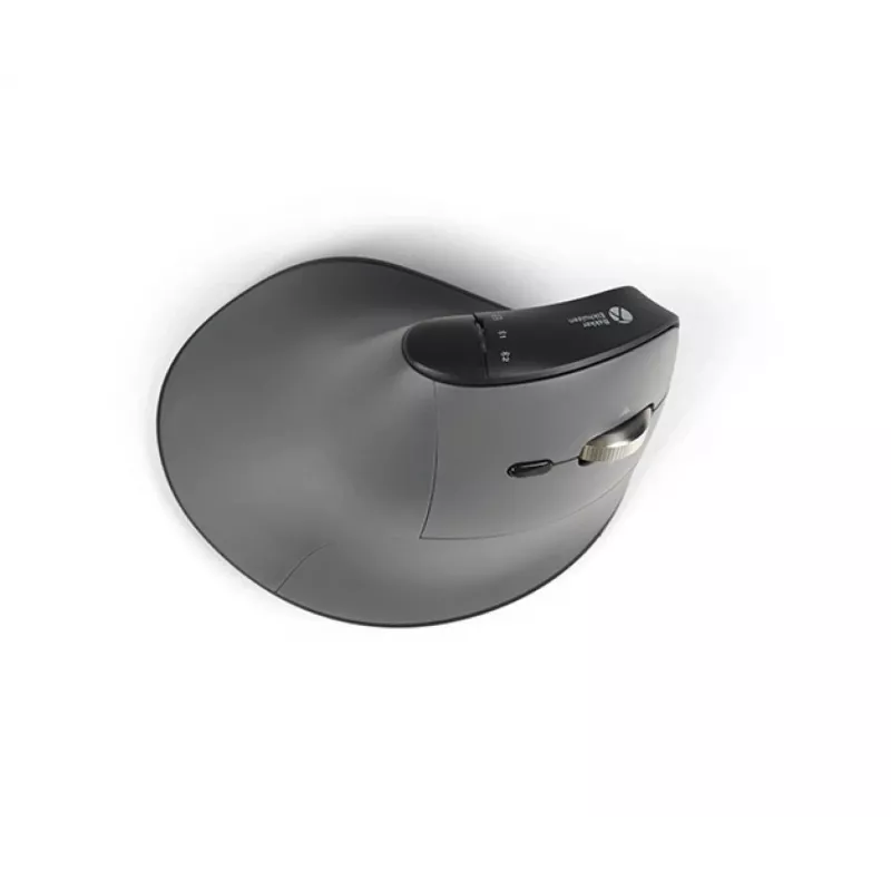 BakkerElkhuizen FastForward Pro myš, pre pravákov, vertikálny dizajn, optická, RF Wireless + Bluetooth + USB Type-C, 5000 DPI, čierna, sivá
