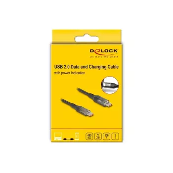 Kábel DELOCK USB Type-C na USB Type-C PD 3.0 100 W USB 2.0 dáta 2 m s indikátorom výkonu