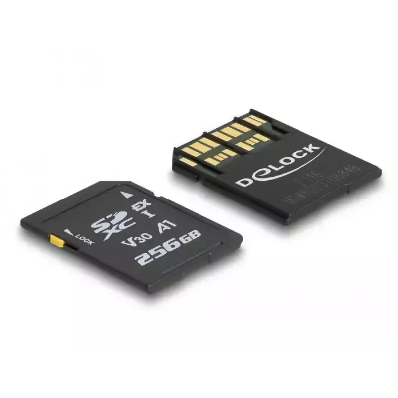 Pamäťová karta DeLOCK 256 GB SD UHS-I 54091