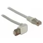 Sieťový kábel DeLOCK 1 m RJ-45 Cat6a sivý