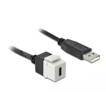 Keystone modul DeLOCK 86382 plochý čierny biely USB C