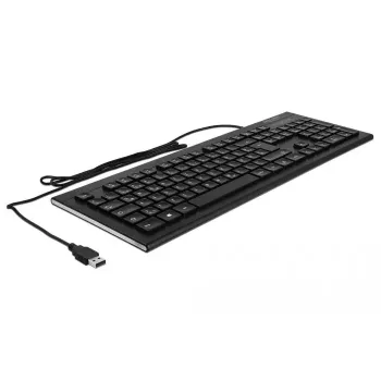 DeLOCK 12672 klávesnica Office USB QWERTZ nemecká čierna
