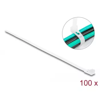 DeLOCK Opakovane použiteľné sťahovacie pásky, 200 x 4.8 mm, biele, 100 ks