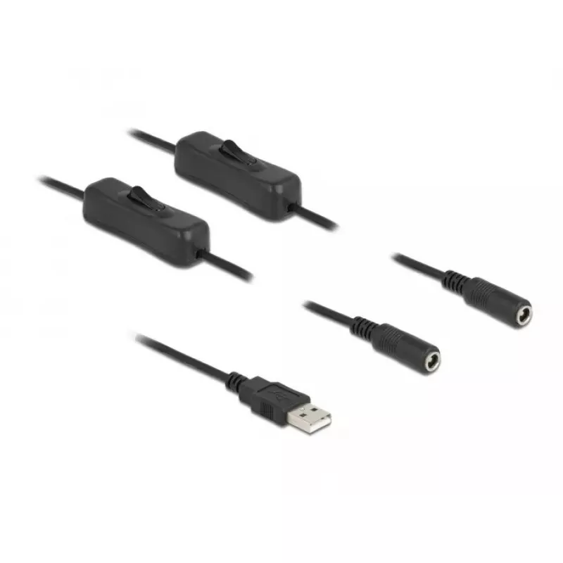 USB Type-A konektor samec na 2 x DC 5,5 x 2,1 mm konektor samica s vypínačom 1 m DeLOCK 86797