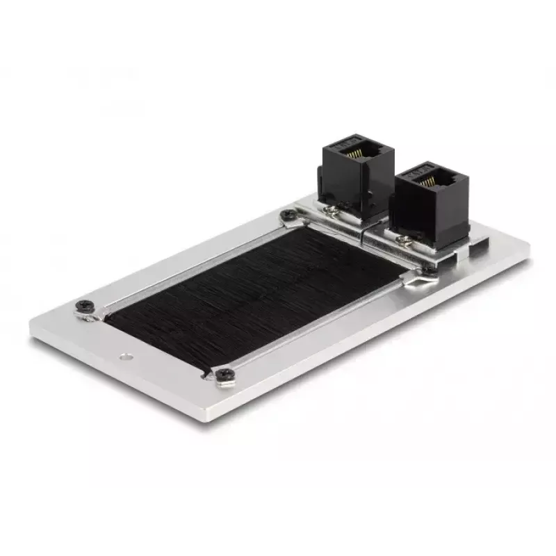 DeLOCK káblová priechodka s kefou a 2 x RJ45 Keystone modul Cat.6 hliník