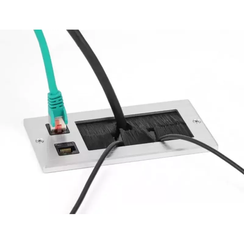 DeLOCK káblová priechodka s kefou a 2 x RJ45 Keystone modul Cat.6 hliník