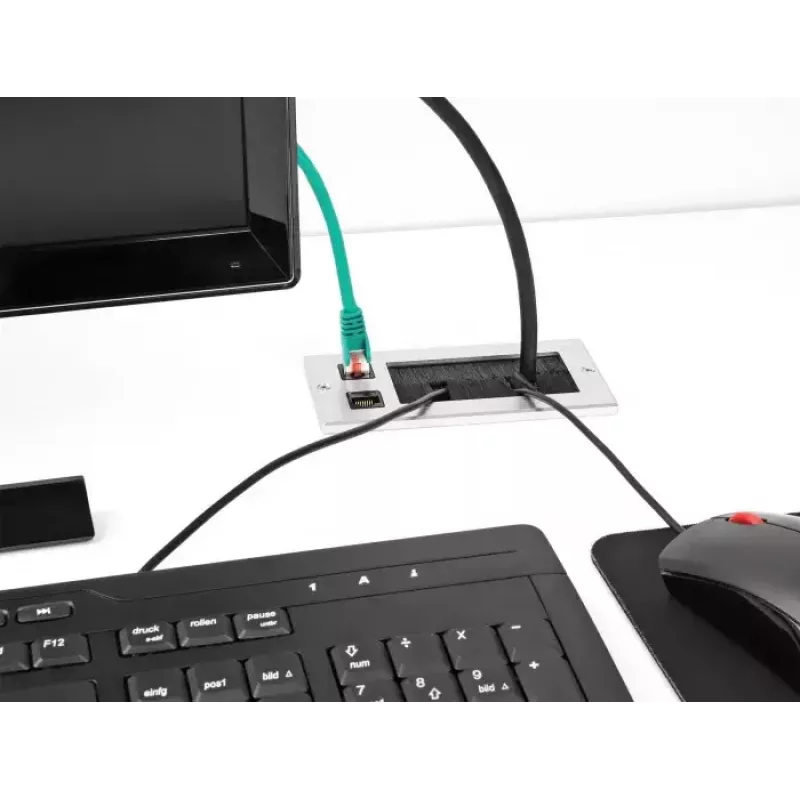 DeLOCK káblová priechodka s kefou a 2 x RJ45 Keystone modul Cat.6 hliník
