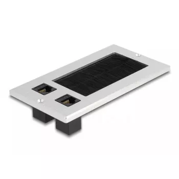 DeLOCK káblová priechodka s kefou a 2 x RJ45 Keystone modul Cat.6 hliník