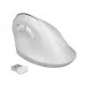 Myš DeLOCK 12596 Office pravácka RF Wireless 1600 DPI