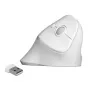 Myš DeLOCK 12596 Office pravácka RF Wireless 1600 DPI