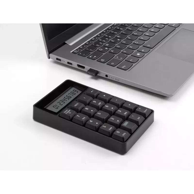 Numerická klávesnica DeLOCK 12113 USB čierna 20 klávesov univerzálna