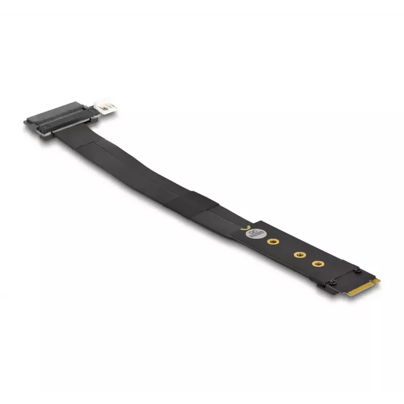 DeLOCK M.2 Key M na U.2 SFF-8639 NVMe adaptér s 20 cm káblom