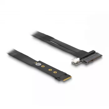DeLOCK M.2 Key M na U.2 SFF-8639 NVMe adaptér s 20 cm káblom