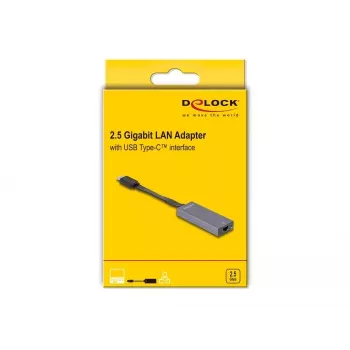 DeLOCK 66248 Káblový adaptér RJ-45 USB C sivý 0,09m