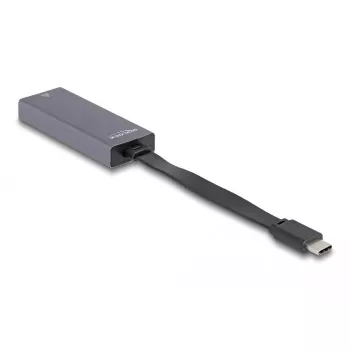 DeLOCK 66248 Káblový adaptér RJ-45 USB C sivý 0,09m