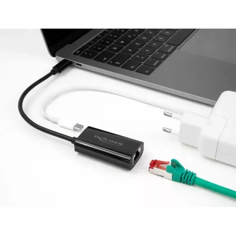 DeLOCK 61026 káblový gender changer USB-C na RJ45 čierny