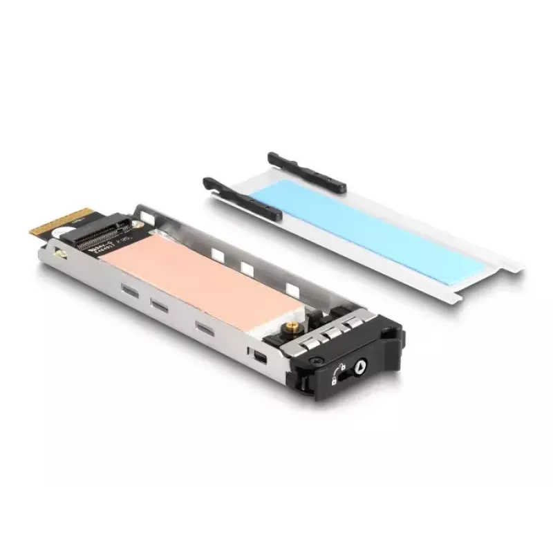 DeLOCK Mobile Rack PCI Express karta pre 1 x M.2 NVMe SSD Low Profile
