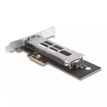 DeLOCK Mobile Rack PCI Express karta pre 1 x M.2 NVMe SSD Low Profile
