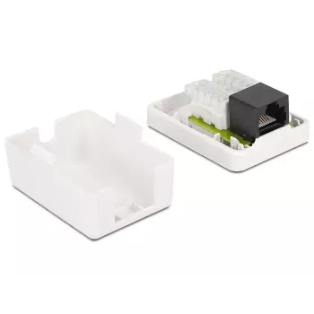 Nástenná zásuvka DeLOCK 86248 biela 52mm x 25,5mm x 39mm