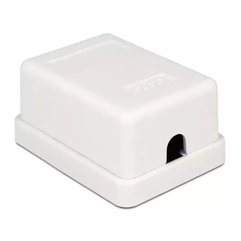 Nástenná zásuvka DeLOCK 86248 biela 52mm x 25,5mm x 39mm