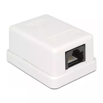Nástenná zásuvka DeLOCK 86248 biela 52mm x 25,5mm x 39mm