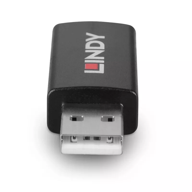 Lindy 71263 USB adaptér USB Type-A čierny