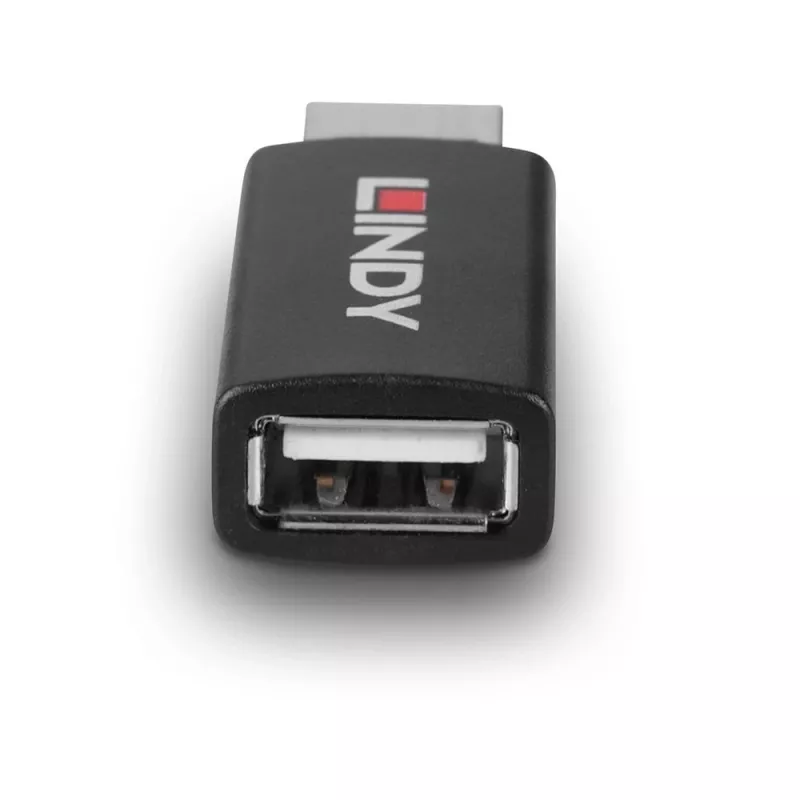 Lindy 71263 USB adaptér USB Type-A čierny