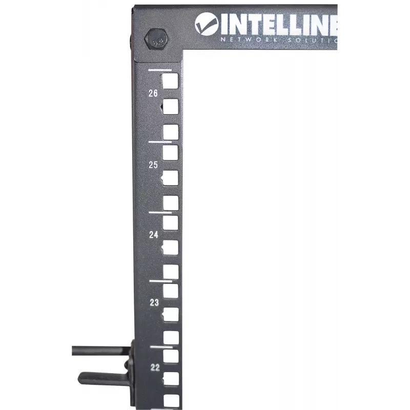 Intellinet 19
