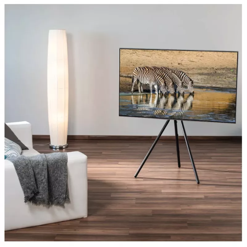 Hama 00220870 TV stojan/podstavec 190,5 cm (75