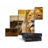 Matrox QuadHead2Go Q185 multi-monitor kontrolér / Q2G-DP4K2