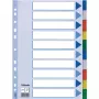 Esselte oddeľovač PP A4 prázdny register viacfarebný 225x297mm