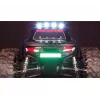 Monstertruck Amewi Daphoenodon elektromotor 1:12