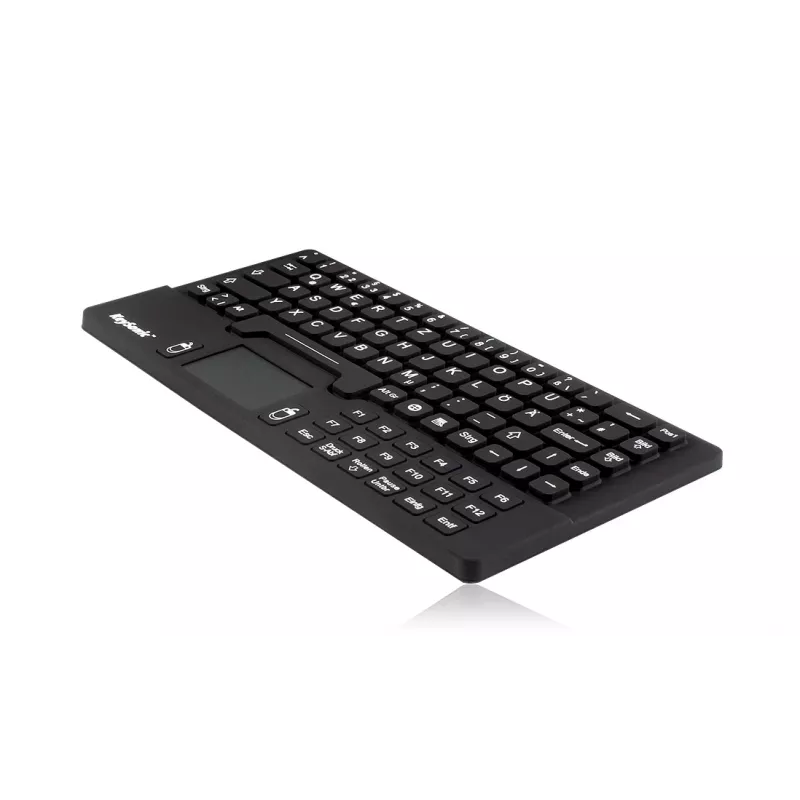 KeySonic KSK-5031IN (DE) klávesnica Universal USB QWERTZ nemecká čierna